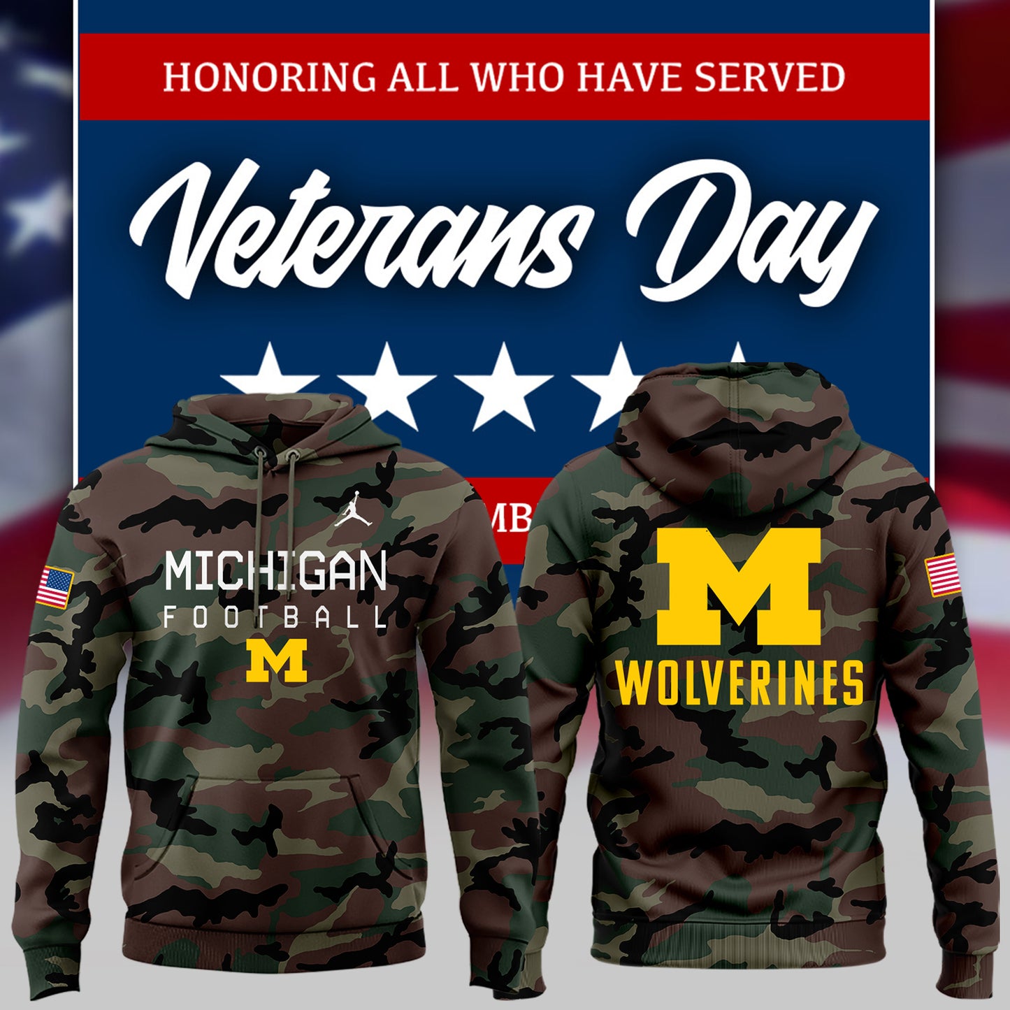 Special 2024 Military Appreciation Michigan Football 2024 Hoodie